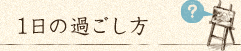 1日の過ごし方