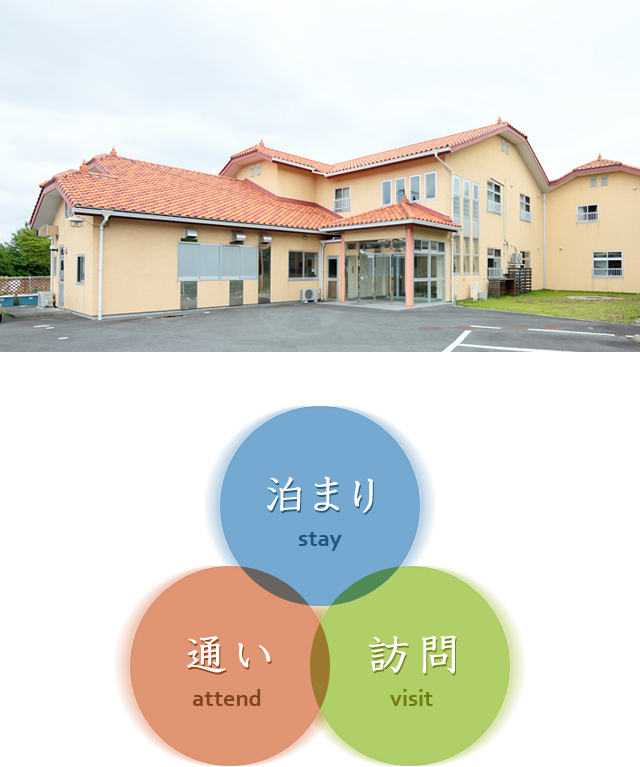 ひまわり